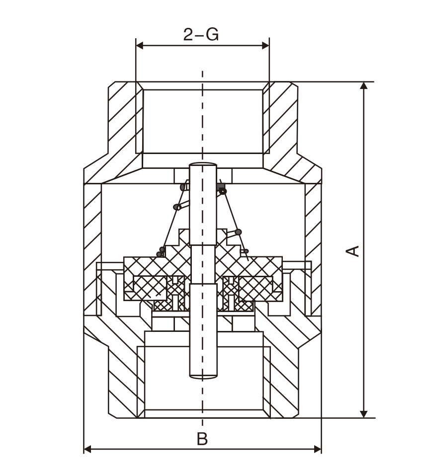 黃銅(tong)立式止(zhi)回閥(圖(tú)1)