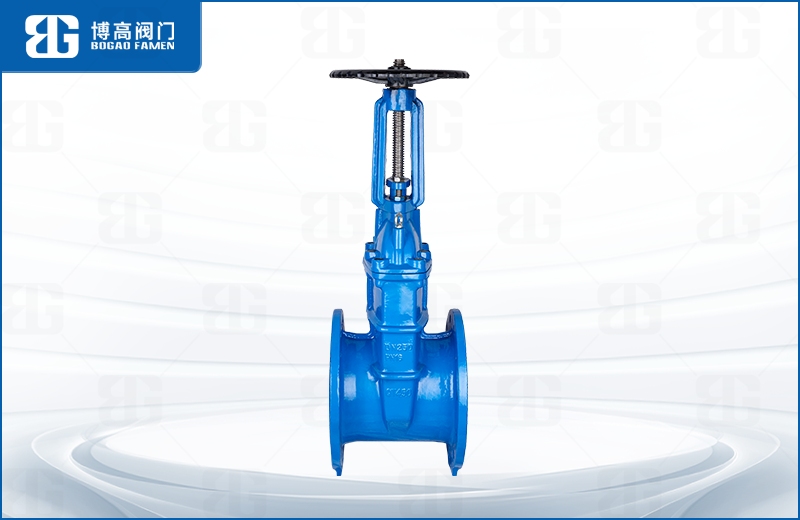 明(míng)杆彈性座(zuò)封閘閥