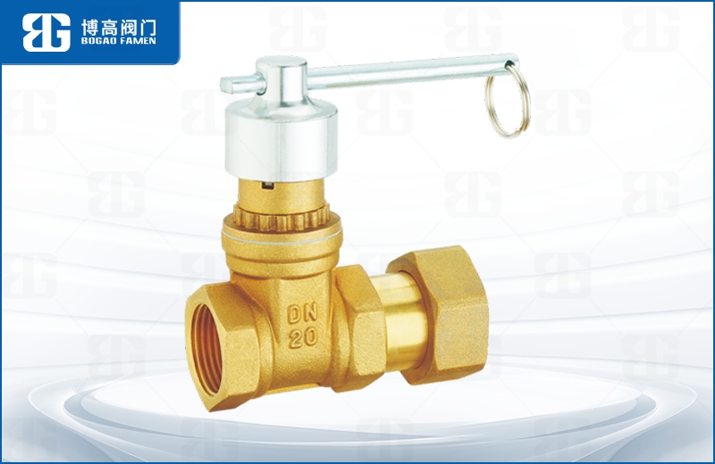 磁性鎖閉活接止(zhǐ)回閘閥