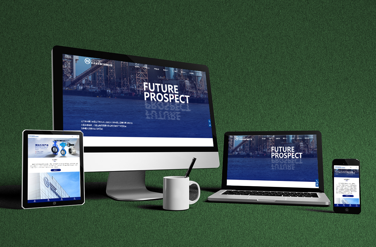 熱(re)烈慶賀(he)南京博(bo)高閥門(men)有限公(gōng)司網站(zhan)正式開(kai)通